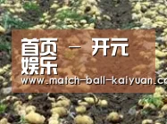 种植基地七