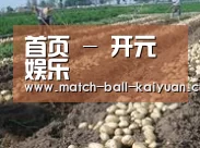 种植基地八