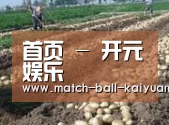 种植基地七(图1)