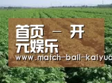 种植基地五(图1)